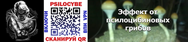 где найти наркотики  blacksprut зеркало  Галлюциногенные грибы Magic Shrooms  Злынка 